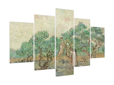 Obraz - Vincent van Gogh, The Olive Orchard, reprodukcje