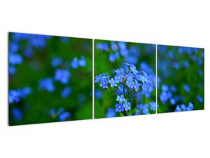 Tablou cu flori albastre