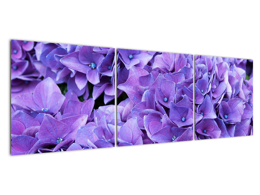 Leinwandbild der lila Blumen