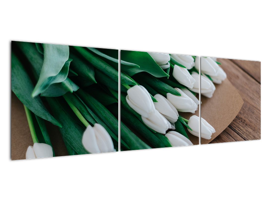 Obraz kytice bílých tulipánů (V020922V15050)