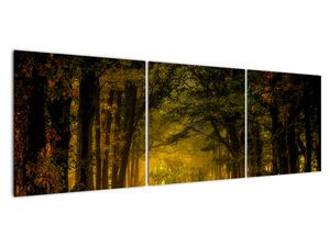 Slika šume