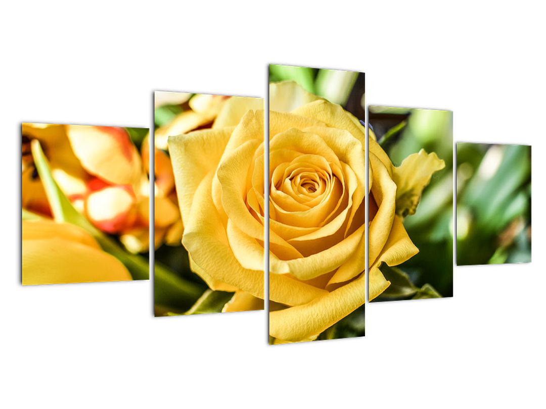 Tablou cu trandafir (V020280V150805PCS)