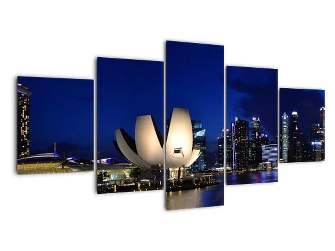 Obraz nočního Singapouru (V020610V150805PCS)