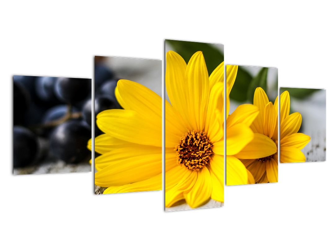 Obraz žluté květiny (V020952V150805PCS)