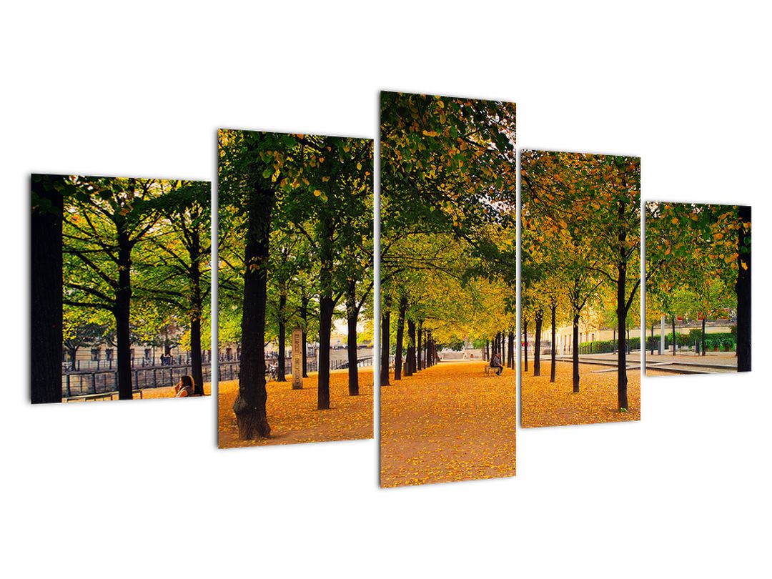 Obraz aleje podzimních stromů (V020953V150805PCS)