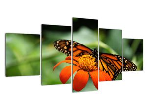 Schilderij - Vlinder op bloem