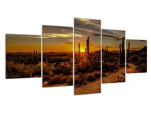 Obraz - Koniec dňa v arizonskej púšti
