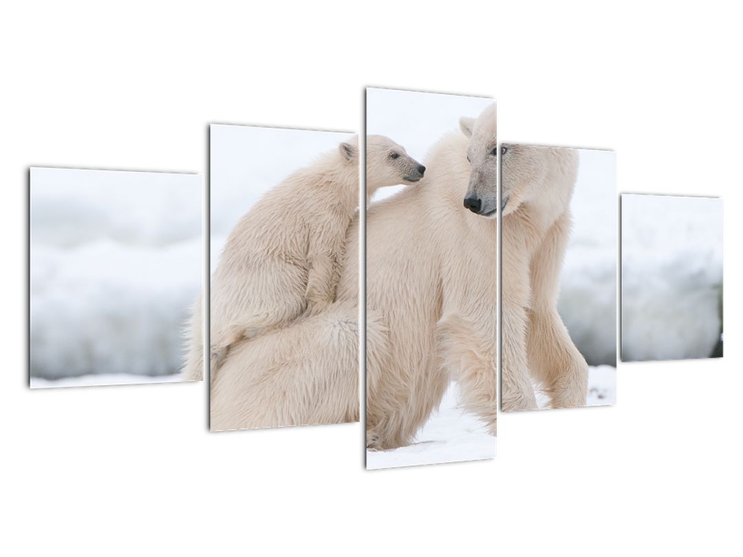 Obraz - Lední medvědi (V022334V150805PCS)