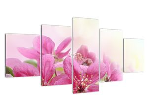 Kép - Rózsaszín virágok