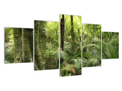 Obraz Tropický deštný prales