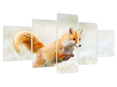 Bild auf Leinwand - Springender Fuchs