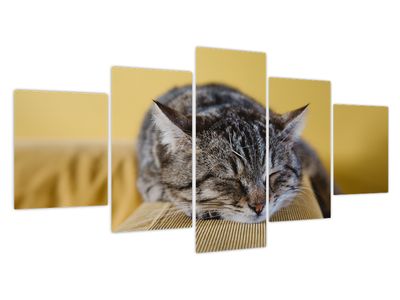 Slika mačke na kavču (z uro)