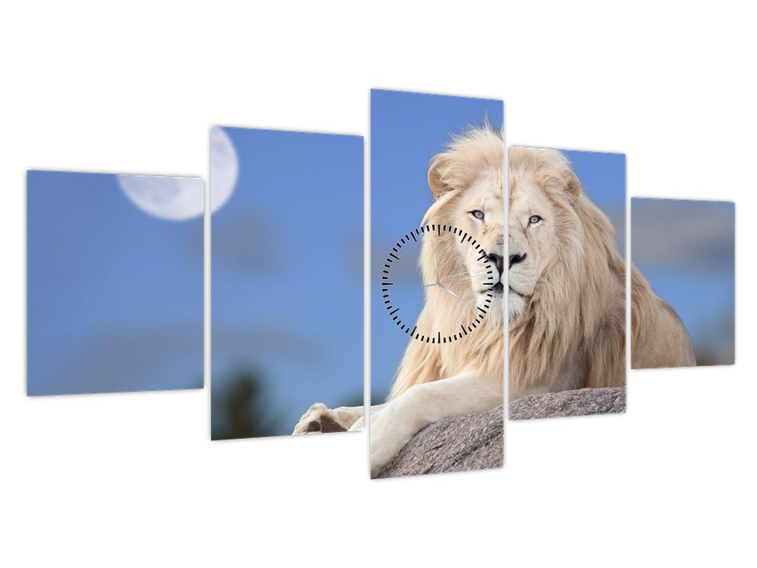 Obraz - Bílý lev (s hodinami) (V022476V15080C)