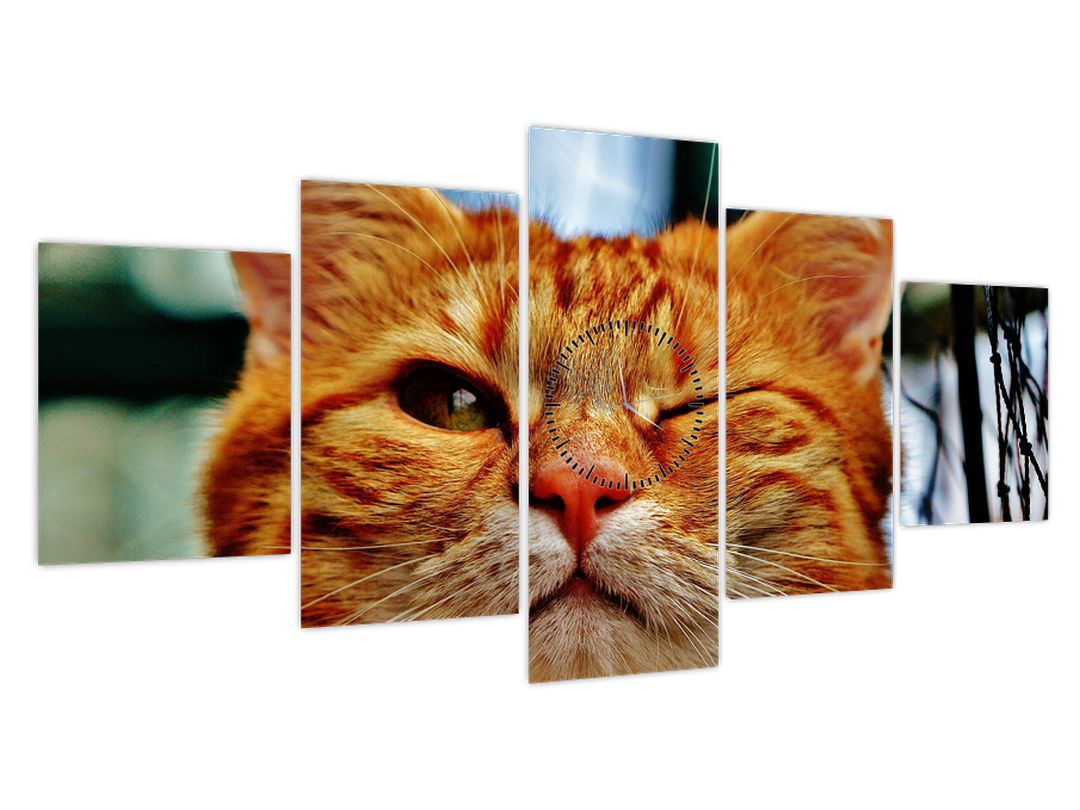 Obraz mrkající kočky (s hodinami) (V022588V15080C)