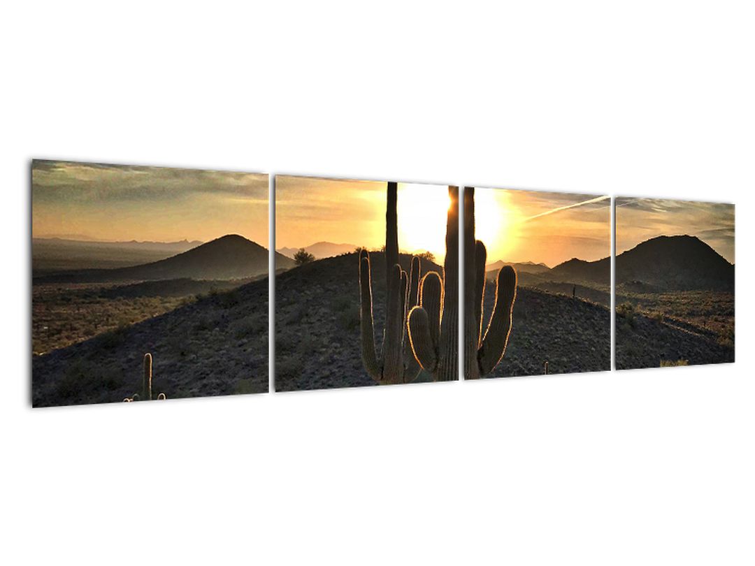 Obraz - kaktusy ve slunci (V020560V16040)