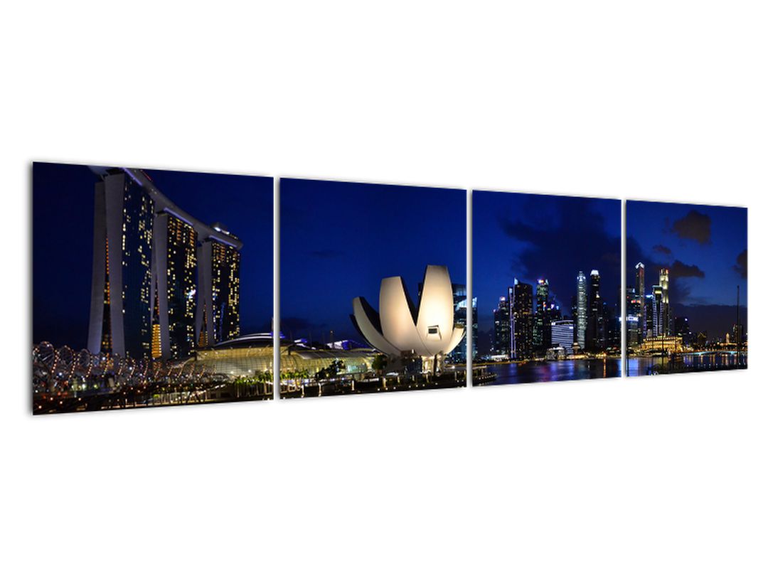 Obraz nočního Singapouru (V020610V16040)