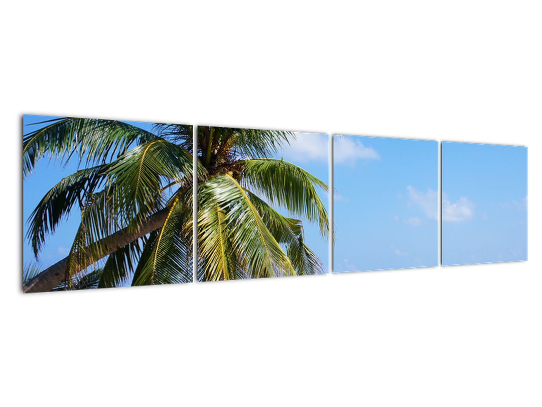 Obraz palmy na pláži (V020612V16040)