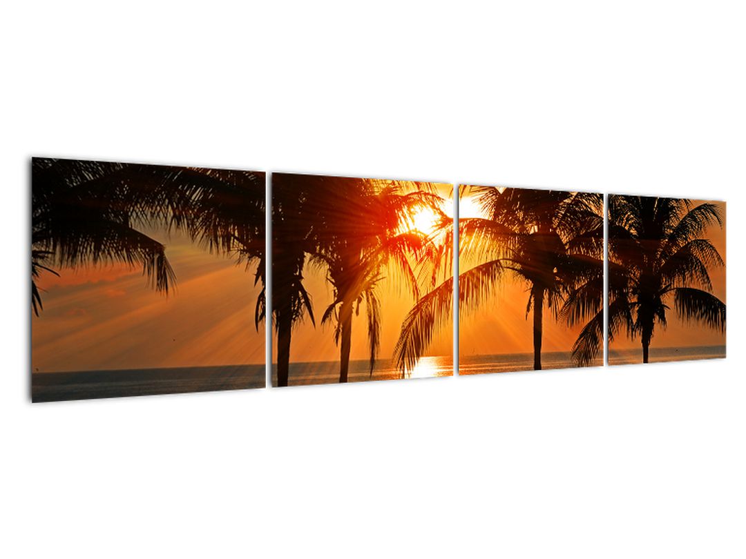 Obraz palmy v západu slunce (V020622V16040)