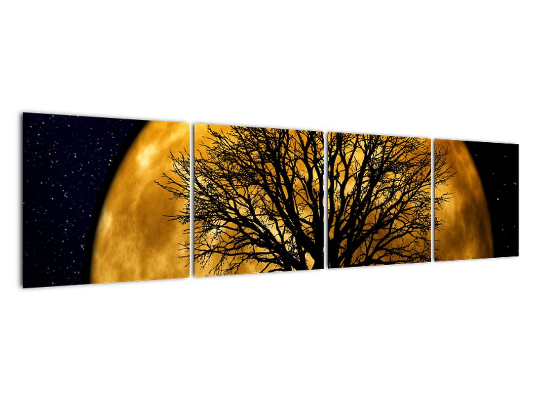 Obraz měsíce a siluet (V020995V16040)