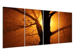 Slika drveta pri zalasku sunca