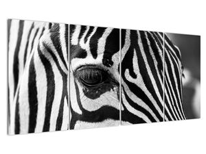 Schilderij - Zebra