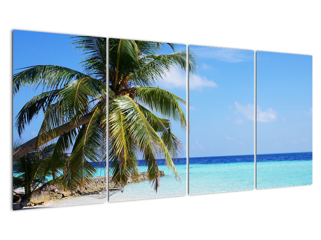 Obraz palmy na pláži (V020612V16080)