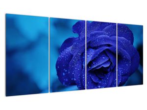 Slika plave ruže