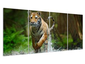 Obraz biegnącego tygrysa