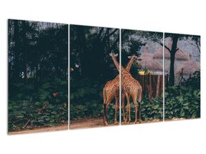 Schilderij - Twee giraffen
