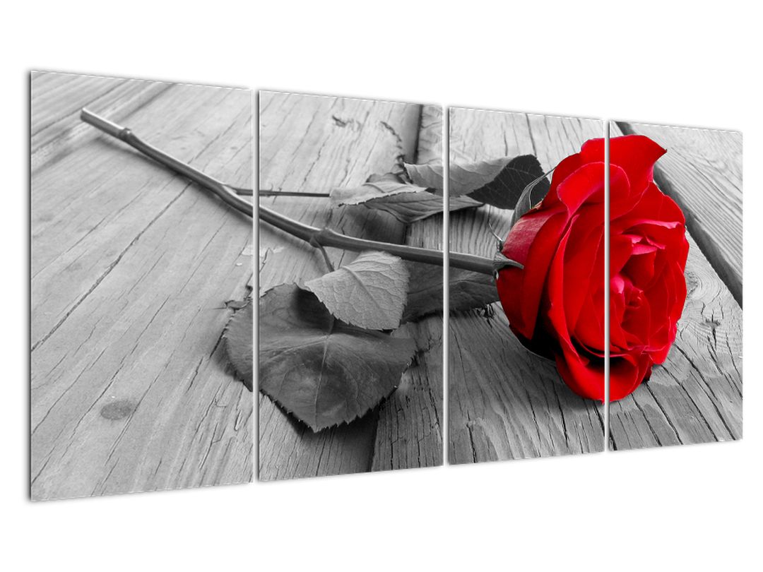 Obraz rudé růže (V022288V16080)