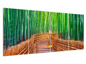 Slika - Šuma japanskog bambusa