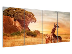 Schilderij - Giraffen in Afrika