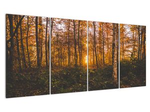 Bild auf Leinwand - Herbstwald