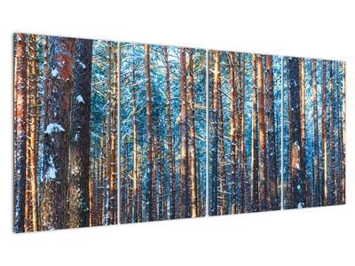 Obraz - Zimný les