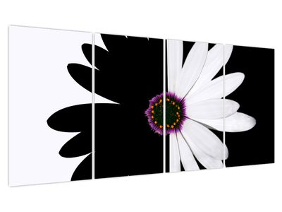 Obraz černobílého květu