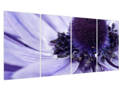Obraz - Fialový květ