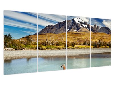 Tablou - Parcul Național Torres del Paine