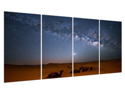 Obraz - Noc v poušti