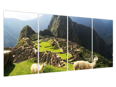 Schilderij - Lama´s in Machu Picchu