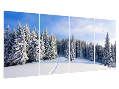 Obraz - Zima v lesích