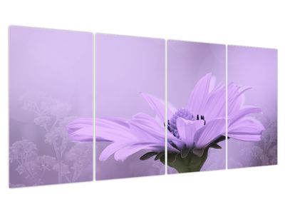 Obraz - Fialová květina