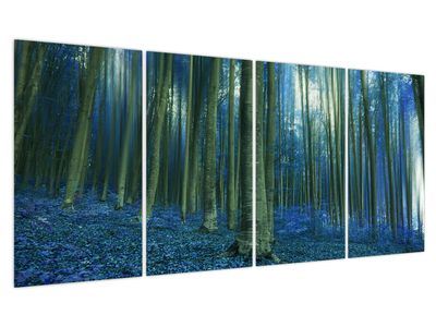 Obraz - Modrý les