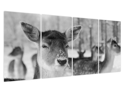 Slika - Bambi, crno-bijela
