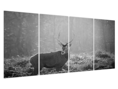 Slika - Jelen u šumi, crno-bijela