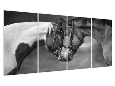 Obraz - Zamilovaní koni, černobílá