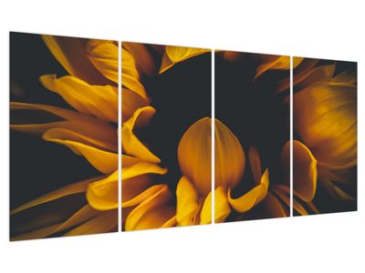 Bild auf Leinwand - Sonnenblumen auf schwarzem Hintergrund