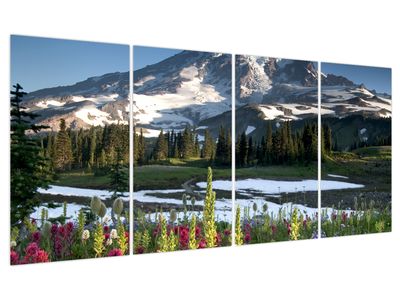 Bild auf Leinwand - Mount Rainier