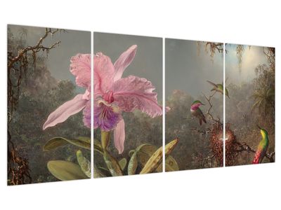 Obraz - Martin Johnson Heade, Cattleya Orchid and Three Hummingbirds, reprodukce