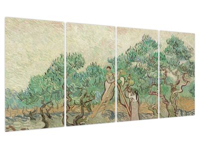 Kép - Vincent van Gogh, The Olive Orchard, reprodukciók