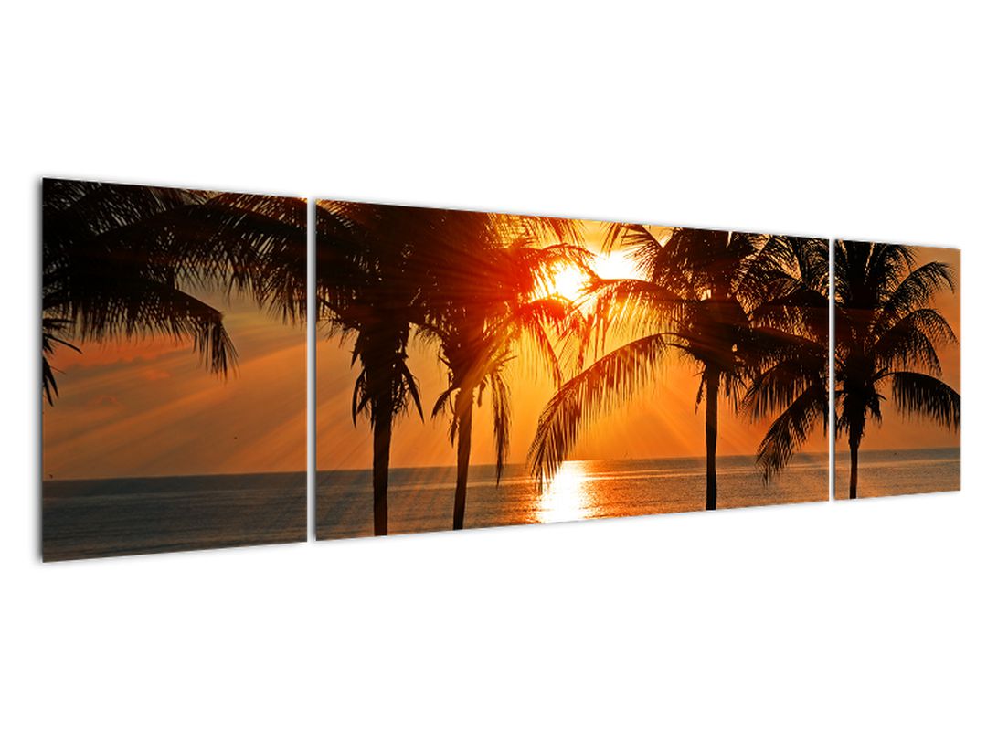 Obraz palmy v západu slunce (V020622V17050)